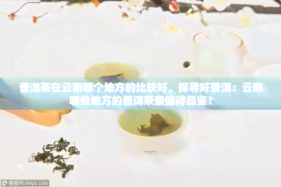 普洱茶在云南哪个地方的比较好，探寻好普洱：云南哪些地方的普洱茶最值得品鉴？