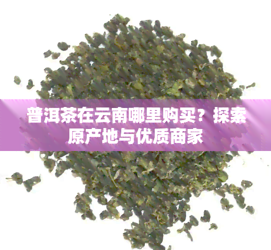 普洱茶在云南哪里购买？探索原产地与优质商家