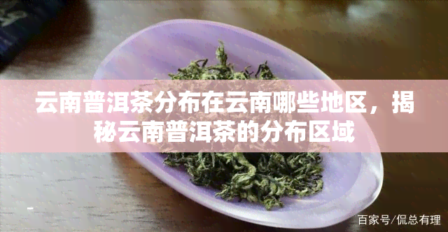 云南普洱茶分布在云南哪些地区，揭秘云南普洱茶的分布区域