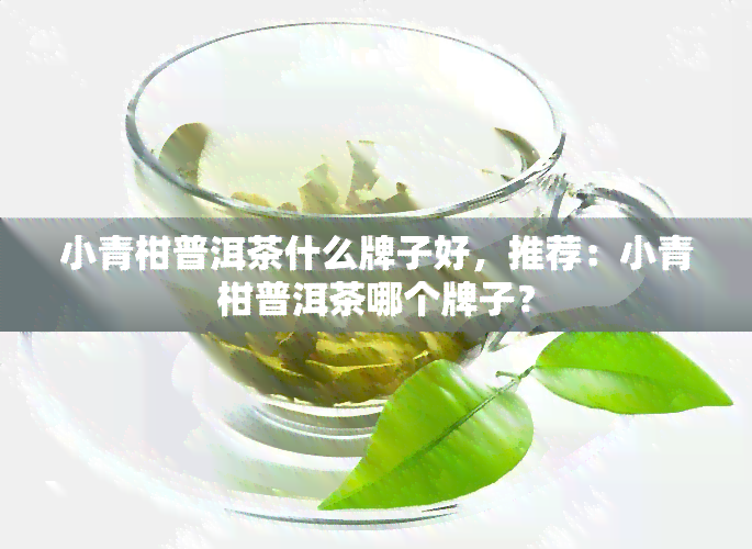 小青柑普洱茶什么牌子好，推荐：小青柑普洱茶哪个牌子？