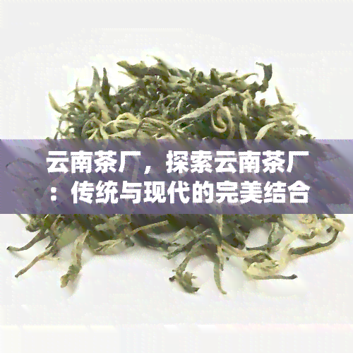 云南茶厂，探索云南茶厂：传统与现代的完美结合