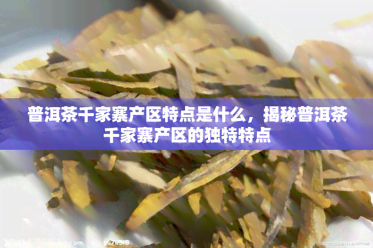 普洱茶千家寨产区特点是什么，揭秘普洱茶千家寨产区的独特特点