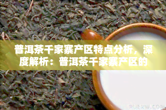 普洱茶千家寨产区特点分析，深度解析：普洱茶千家寨产区的独特魅力与特点