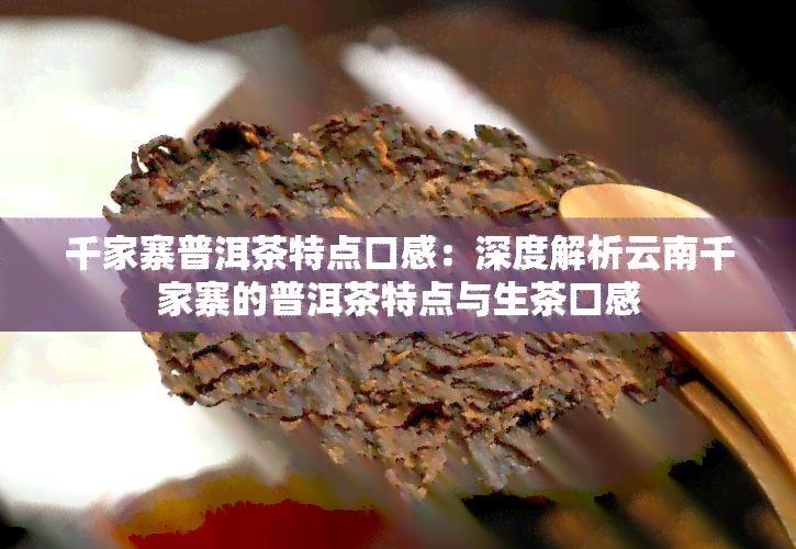 千家寨普洱茶特点口感：深度解析云南千家寨的普洱茶特点与生茶口感