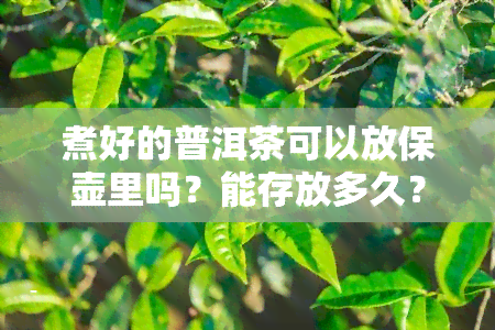 煮好的普洱茶可以放保壶里吗？能存放多久？还能放入冰箱保存吗？