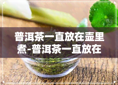 普洱茶一直放在壶里煮-普洱茶一直放在壶里煮可以吗