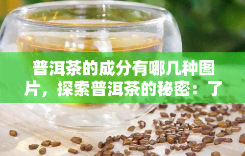 普洱茶的成分有哪几种图片，探索普洱茶的秘密：了解其成分的图片解析