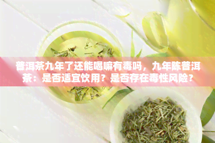 普洱茶九年了还能喝嘛有吗，九年陈普洱茶：是否适宜饮用？是否存在性风险？