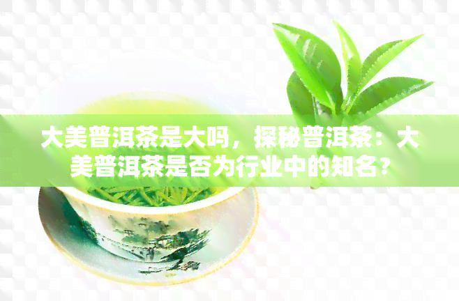 大美普洱茶是大吗，探秘普洱茶：大美普洱茶是否为行业中的知名？