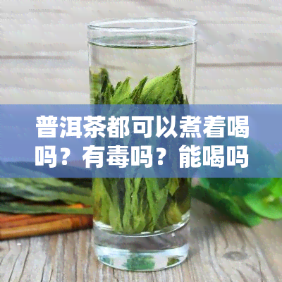 普洱茶都可以煮着喝吗？有吗？能喝吗？