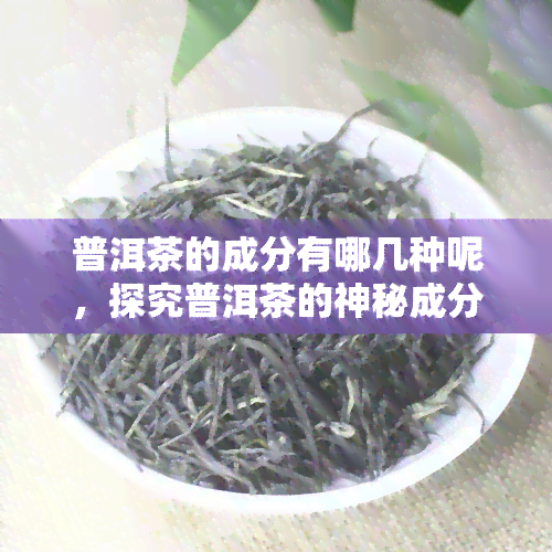 普洱茶的成分有哪几种呢，探究普洱茶的神秘成分：你知道多少？