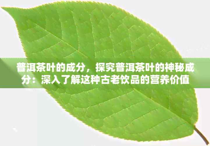 普洱茶叶的成分，探究普洱茶叶的神秘成分：深入了解这种古老饮品的营养价值