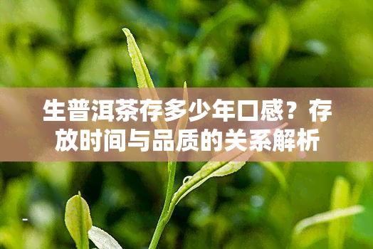 生普洱茶存多少年口感？存放时间与品质的关系解析