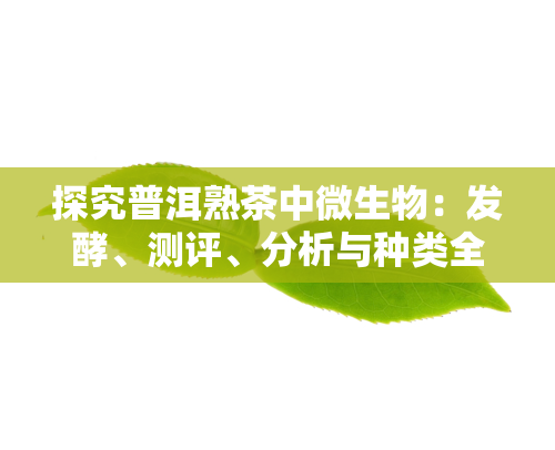 探究普洱熟茶中微生物：发酵、测评、分析与种类全揭秘