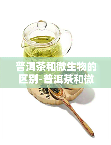 普洱茶和微生物的区别-普洱茶和微生物的区别是什么