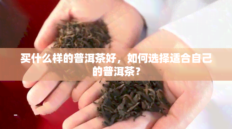 买什么样的普洱茶好，如何选择适合自己的普洱茶？