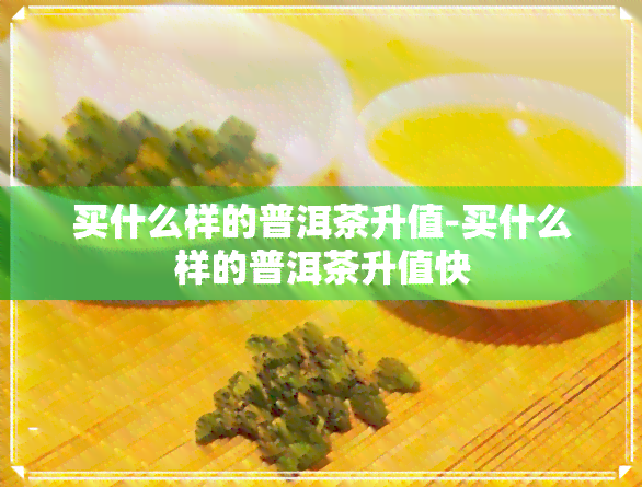 买什么样的普洱茶升值-买什么样的普洱茶升值快