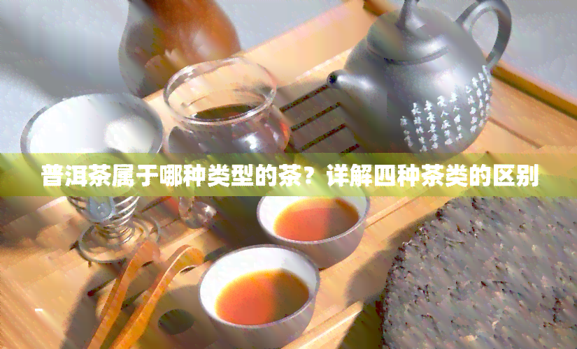 普洱茶属于哪种类型的茶？详解四种茶类的区别