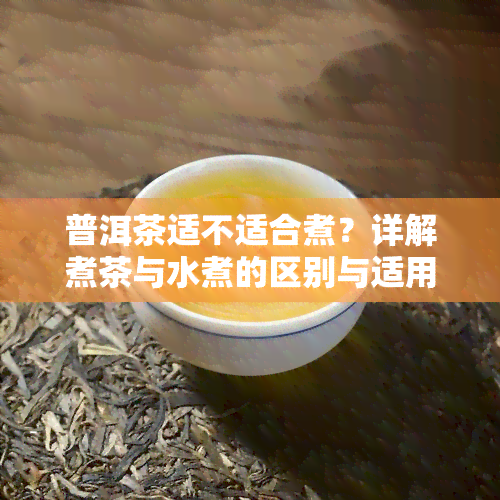 普洱茶适不适合煮？详解煮茶与水煮的区别与适用人群