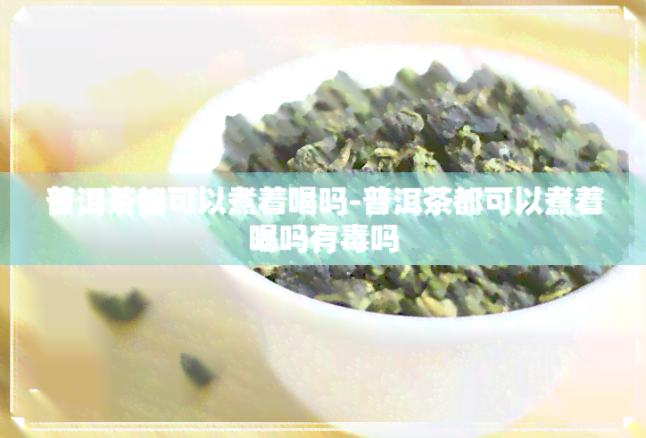 普洱茶都可以煮着喝吗-普洱茶都可以煮着喝吗有吗