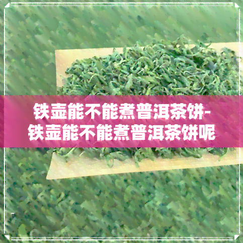 铁壶能不能煮普洱茶饼-铁壶能不能煮普洱茶饼呢