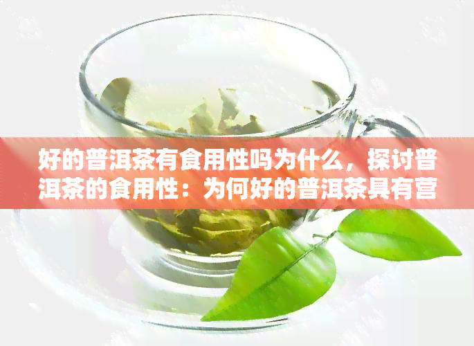 好的普洱茶有食用性吗为什么，探讨普洱茶的食用性：为何好的普洱茶具有营养价值？