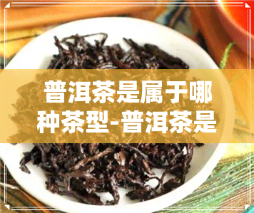 普洱茶是属于哪种茶型-普洱茶是属于哪种茶型的