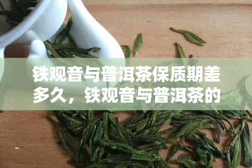 铁观音与普洱茶保质期差多久，铁观音与普洱茶的保质期差异解析