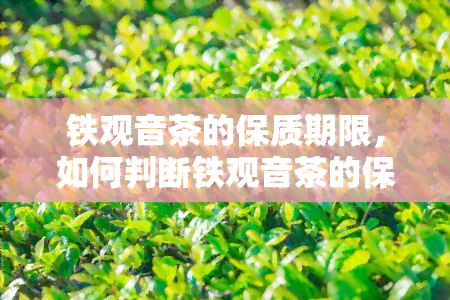 铁观音茶的保质期限，如何判断铁观音茶的保质期限？