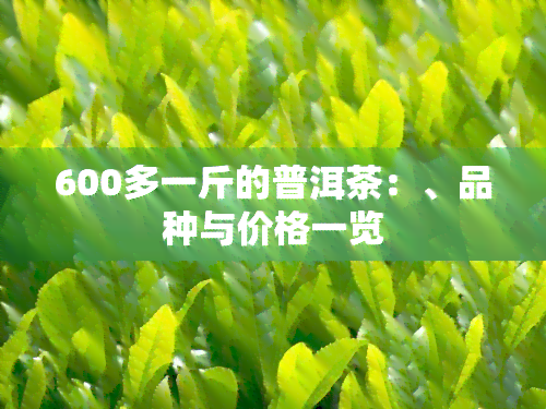 600多一斤的普洱茶：、品种与价格一览