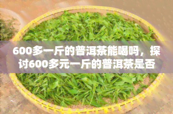 600多一斤的普洱茶能喝吗，探讨600多元一斤的普洱茶是否值得购买和品尝