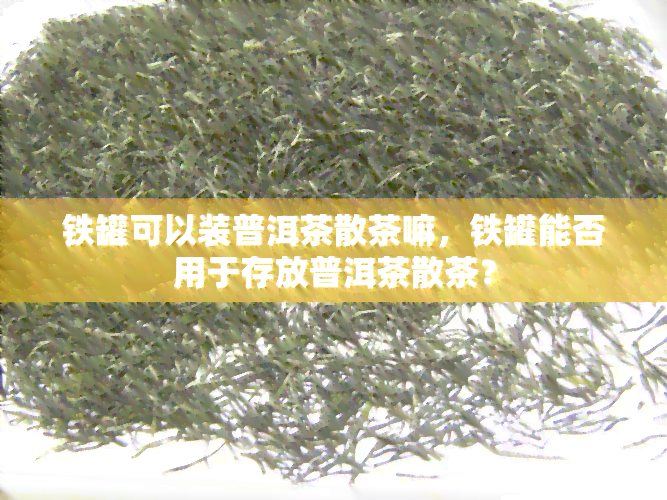 铁罐可以装普洱茶散茶嘛，铁罐能否用于存放普洱茶散茶？