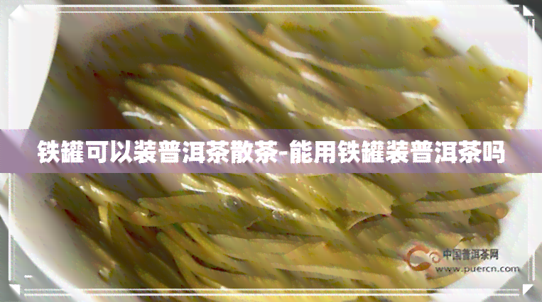 铁罐可以装普洱茶散茶-能用铁罐装普洱茶吗