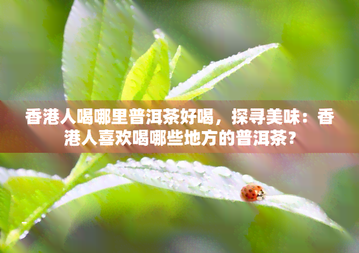 人喝哪里普洱茶好喝，探寻美味：人喜欢喝哪些地方的普洱茶？