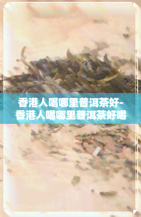 人喝哪里普洱茶好-人喝哪里普洱茶好喝