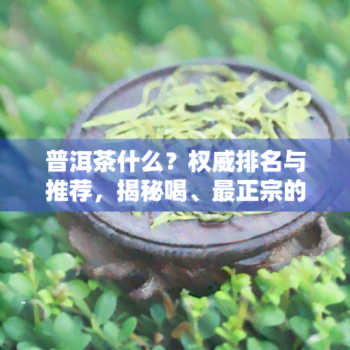 普洱茶什么？权威排名与推荐，揭秘喝、最正宗的！