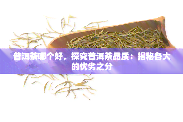 普洱茶哪个好，探究普洱茶品质：揭秘各大的优劣之分