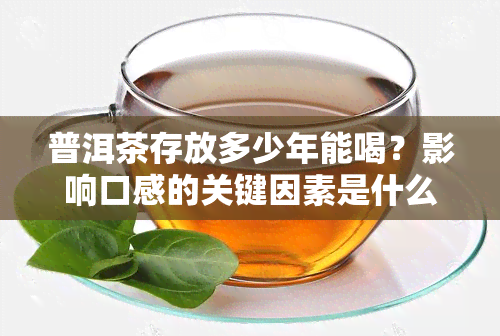 普洱茶存放多少年能喝？影响口感的关键因素是什么？