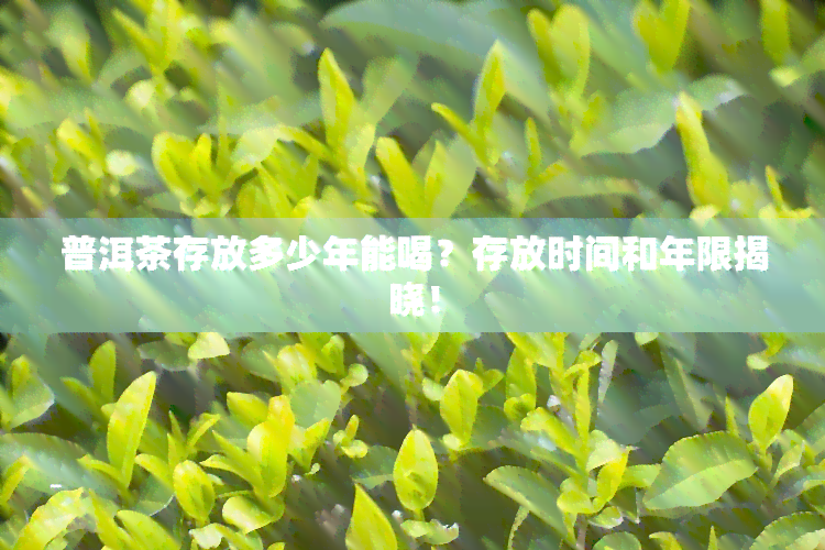 普洱茶存放多少年能喝？存放时间和年限揭晓！