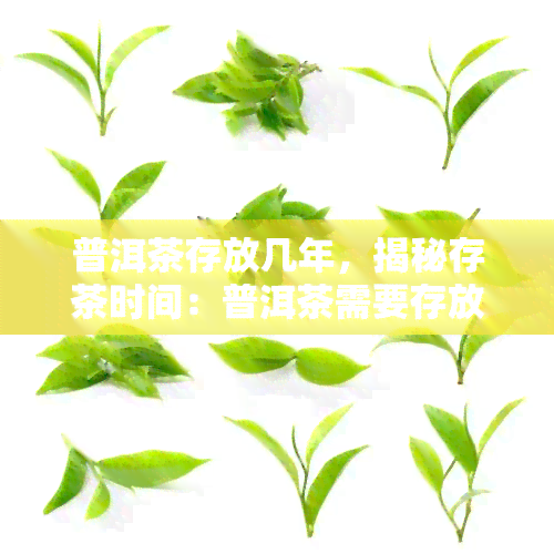 普洱茶存放几年，揭秘存茶时间：普洱茶需要存放几年？