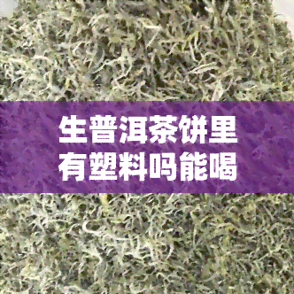 生普洱茶饼里有塑料吗能喝吗，关于生普洱茶饼中是否存在塑料的问题：是否安全饮用？