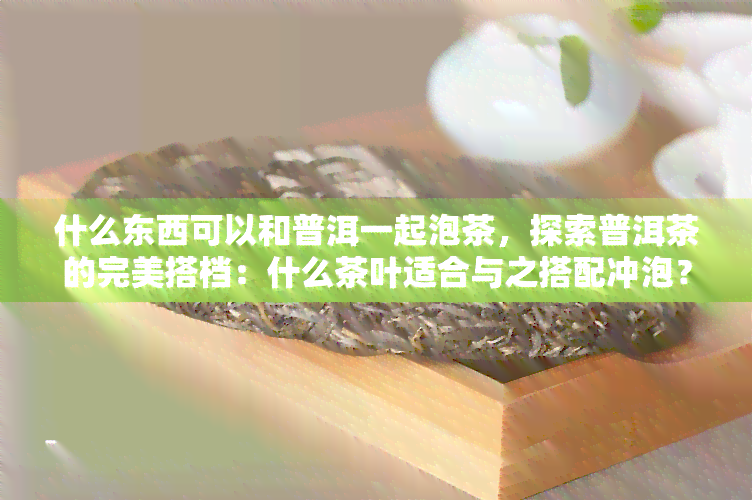 什么东西可以和普洱一起泡茶，探索普洱茶的完美搭档：什么茶叶适合与之搭配冲泡？