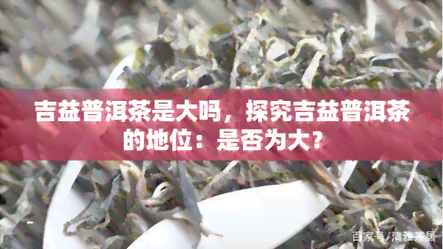 吉益普洱茶是大吗，探究吉益普洱茶的地位：是否为大？