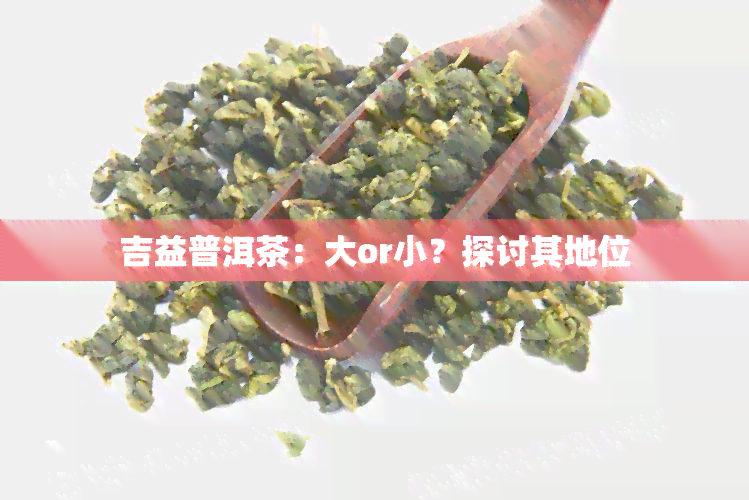 吉益普洱茶：大or小？探讨其地位