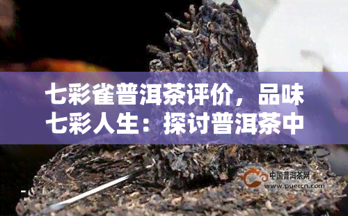 七彩雀普洱茶评价，品味七彩人生：探讨普洱茶中的瑰宝——七彩雀普洱茶的评价