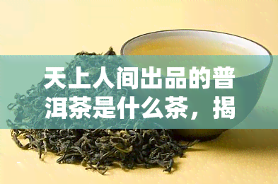 天上人间出品的普洱茶是什么茶，揭秘天上人间出品的普洱茶：它到底属于哪种茶？