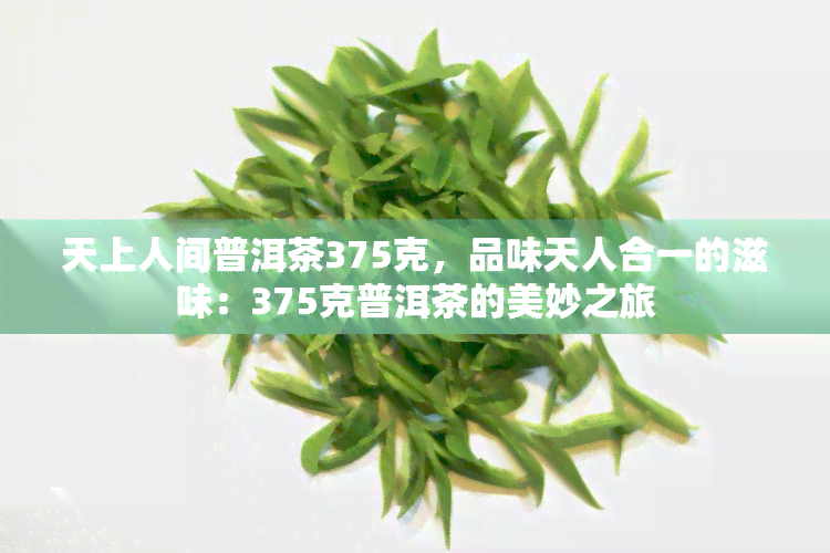 天上人间普洱茶375克，品味天人合一的滋味：375克普洱茶的美妙之旅