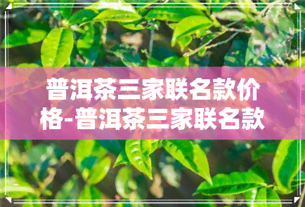 普洱茶三家联名款价格-普洱茶三家联名款价格多少