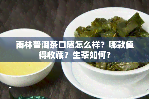 雨林普洱茶口感怎么样？哪款值得收藏？生茶如何？