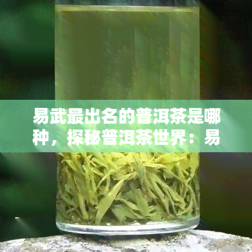 易武最出名的普洱茶是哪种，探秘普洱茶世界：易武的茶叶品种是什么？